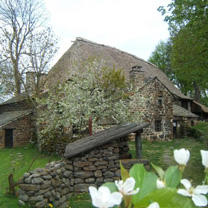 ferme, pierre et chaume